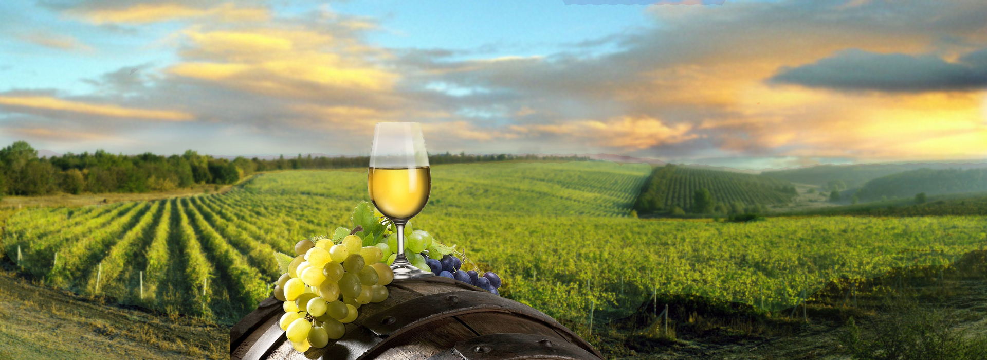Wine Tourism. Wine Tours. Wine Tastings. Enjoy Moldova